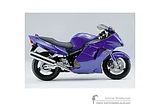 Decals for Honda CBR1100XX SUPER BLACKBIRD 1999 - Blue • Honda OEM Decals