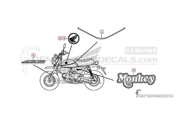 Honda MONKEY 2019