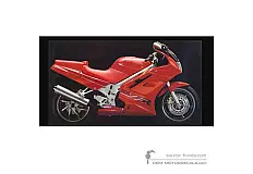 Pegatinas para Honda VFR750 1992 - Rojo • Honda Pegatinas OEM