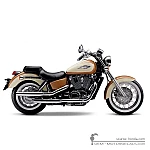 Honda VT1100 SHADOW ACE 1998