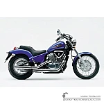 Honda VT600C SHADOW 1999