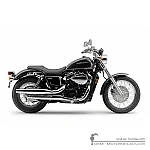 Honda VT750C SHADOW RS 2013