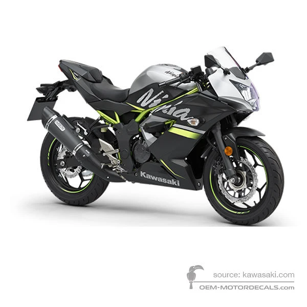 Decals for Kawasaki NINJA 125 2019 - Gray • Kawasaki OEM Decals