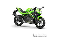 Adesivi per Kawasaki NINJA 125 2019 - Verde Nero • Kawasaki Adesivi OEM