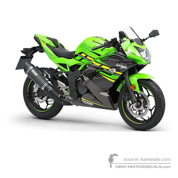 Pegatinas para Kawasaki NINJA 125 2019 - Verde Negro • Kawasaki Pegatinas OEM