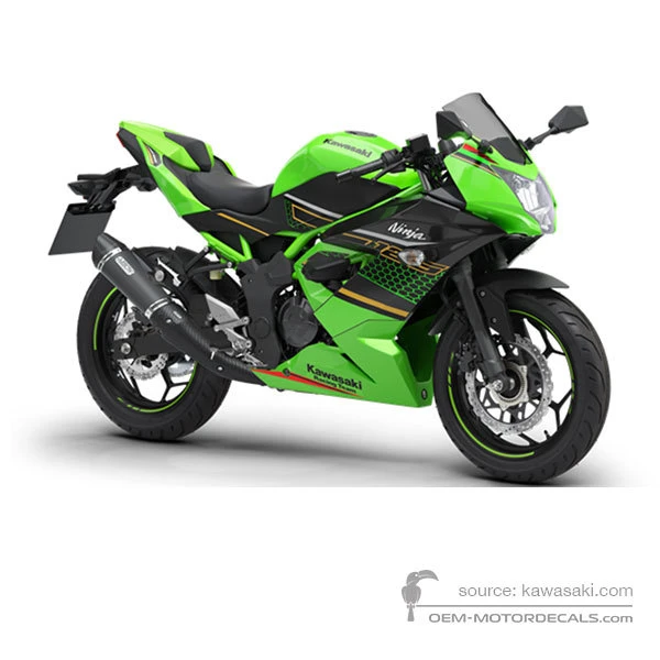 Aufkleber für Kawasaki NINJA 125 2020 - Grün Schwarz • Kawasaki OEM-Aufkleber
