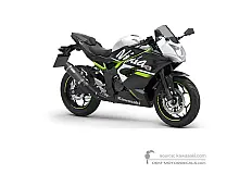 Decals for Kawasaki NINJA 125 2020 - White • Kawasaki OEM Decals