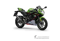 Stickers voor Kawasaki NINJA 125 2022 - Groen Zwart • Kawasaki OEM Stickers