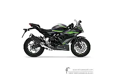 Stickers voor Kawasaki NINJA 125 2024 - Grijs • Kawasaki OEM Stickers
