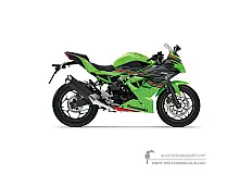 Pegatinas para Kawasaki NINJA 125 2024 - Verde • Kawasaki Pegatinas OEM