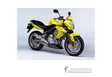 Autocollants pour Kawasaki ER650 ER6N 2006 - Jaune • Kawasaki Autocollants OEM