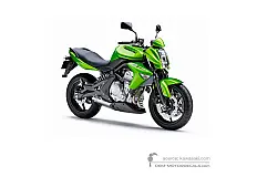 Autocollants pour Kawasaki ER650 ER6N 2008 - Vert • Kawasaki Autocollants OEM