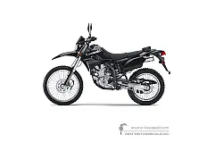 Stickers voor Kawasaki KLX250 2010 - Ebony • Kawasaki OEM Stickers