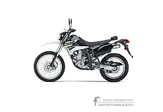 Naklejki do Kawasaki KLX250 2011 - Biały • Kawasaki Naklejki OEM