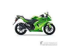 Naklejki do Kawasaki NINJA 250R 2011 - Zielony • Kawasaki Naklejki OEM