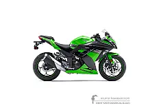 Stickers voor Kawasaki NINJA 300 2013 - Groen Zwart • Kawasaki OEM Stickers