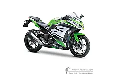 Naklejki do Kawasaki NINJA 300 2015 - Zielono Czarny • Kawasaki Naklejki OEM