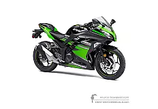 Naklejki do Kawasaki NINJA 300 2016 - Zielono Czarny • Kawasaki Naklejki OEM