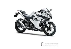 Stickers voor Kawasaki NINJA 300 2017 - Wit • Kawasaki OEM Stickers