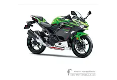 Naklejki do Kawasaki NINJA 400 2021 - Zielony • Kawasaki Naklejki OEM