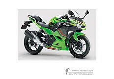 Stickers voor Kawasaki NINJA 400 2023 - Groen Zwart • Kawasaki OEM Stickers