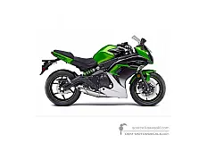 Naklejki do Kawasaki NINJA 650 2016 - Zielony • Kawasaki Naklejki OEM