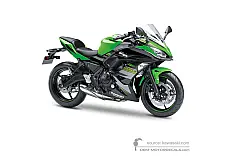 Stickers voor Kawasaki NINJA 650 2019 - Groen Zwart • Kawasaki OEM Stickers