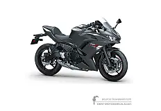 Autocollants pour Kawasaki NINJA 650 2022 - Gris • Kawasaki Autocollants OEM