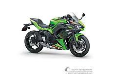 Stickers voor Kawasaki NINJA 650 2023 - Groen Zwart • Kawasaki OEM Stickers
