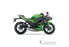 Aufkleber für Kawasaki NINJA 650 2024 - Grün • Kawasaki OEM-Aufkleber