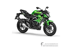 Adesivi per Kawasaki Z125 2020 - Verde Nero • Kawasaki Adesivi OEM