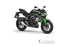 Naklejki do Kawasaki Z125 2023 - Zielono Czarny • Kawasaki Naklejki OEM