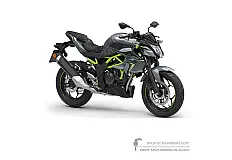 Decals for Kawasaki Z125 2024 - Gray • Kawasaki OEM Decals