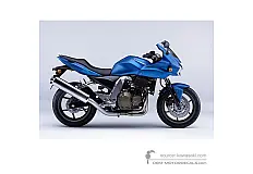 Autocollants pour Kawasaki Z750S 2006 - Bleu • Kawasaki Autocollants OEM