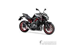 Stickers voor Kawasaki Z900 2019 - Grijs • Kawasaki OEM Stickers