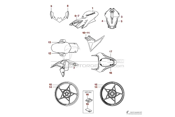 Kawasaki Z900 2024 - Zwart Groen