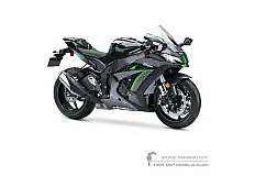 Naklejki do Kawasaki ZX10R 2020 - Szary • Kawasaki Naklejki OEM