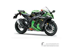 Decals for Kawasaki ZX10R 2020 - Green • Kawasaki OEM Decals