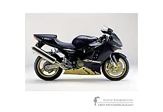 Pegatinas para Kawasaki ZX12R 2003 - Negro • Kawasaki Pegatinas OEM