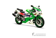 Naklejki do Kawasaki ZX6R 1995 - Zielony • Kawasaki Naklejki OEM