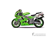 Autocollants pour Kawasaki ZX6R 1996 - Vert • Kawasaki Autocollants OEM