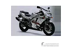 Decals for Kawasaki ZX6R 1997 - Silver • Kawasaki OEM Decals