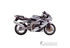 Stickers voor Kawasaki ZX6R 2000 - Zilver • Kawasaki OEM Stickers