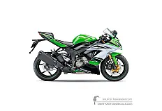 Decals for Kawasaki ZX6R 2015 - Green  • Kawasaki OEM Decals