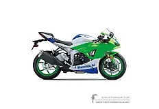 Adesivi per Kawasaki NINJA ZX6R Anniversary Edition 2024 - Bianco • Kawasaki Adesivi OEM