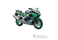 Pegatinas para Kawasaki ZX9R 2001 - Verde • Kawasaki Pegatinas OEM