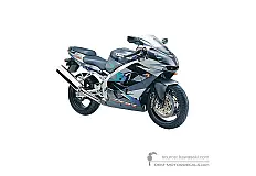 Pegatinas para Kawasaki ZX9R 2001 - Gris • Kawasaki Pegatinas OEM