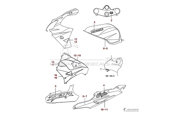 Kawasaki ZX9R 2001 - Gris