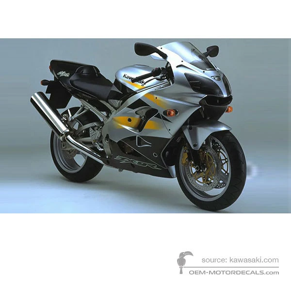 Decals for Kawasaki ZX9R 2002 - Silver • Kawasaki OEM Decals
