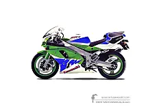 Autocollants pour Kawasaki ZXR750R 1993 - Vert • Kawasaki Autocollants OEM